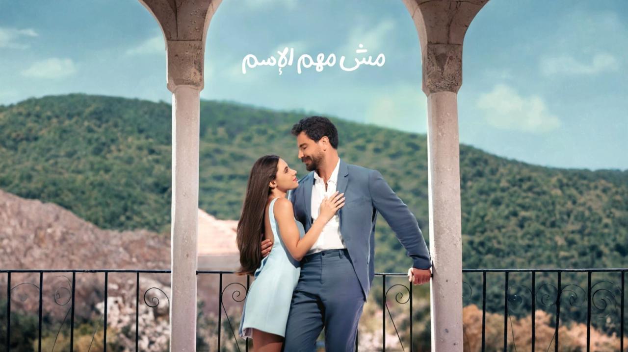 مسلسل مش مهم الإسم الحلقة 12 الثانية عشر